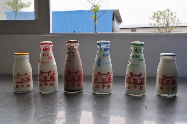 百富露水牛奶生产制造环境