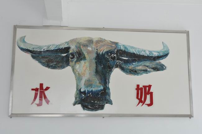 百富露水牛奶生产制造环境